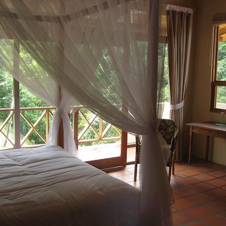 Rio Magnolia Nature Lodge Tinamaste Zewnętrze zdjęcie
